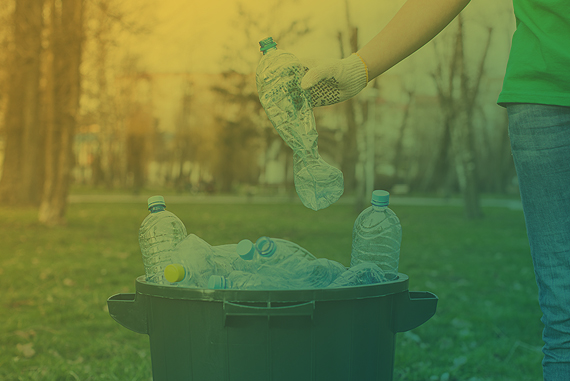 PLASTIC IMPACT ON THE HUMAN BODY
